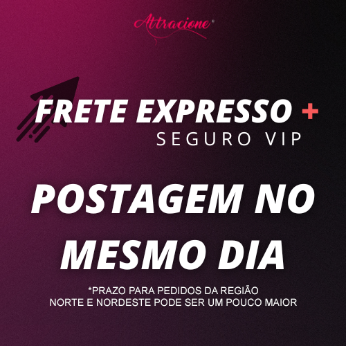Frete Expresso com seguro VIP